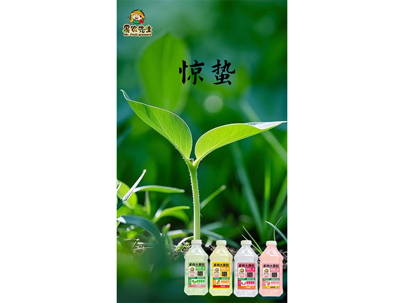 春雷驚蟄始 大地萬物新