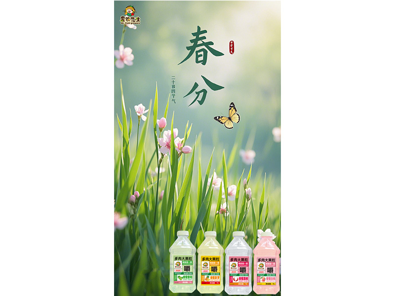 春來處處百花香 莫負好時光